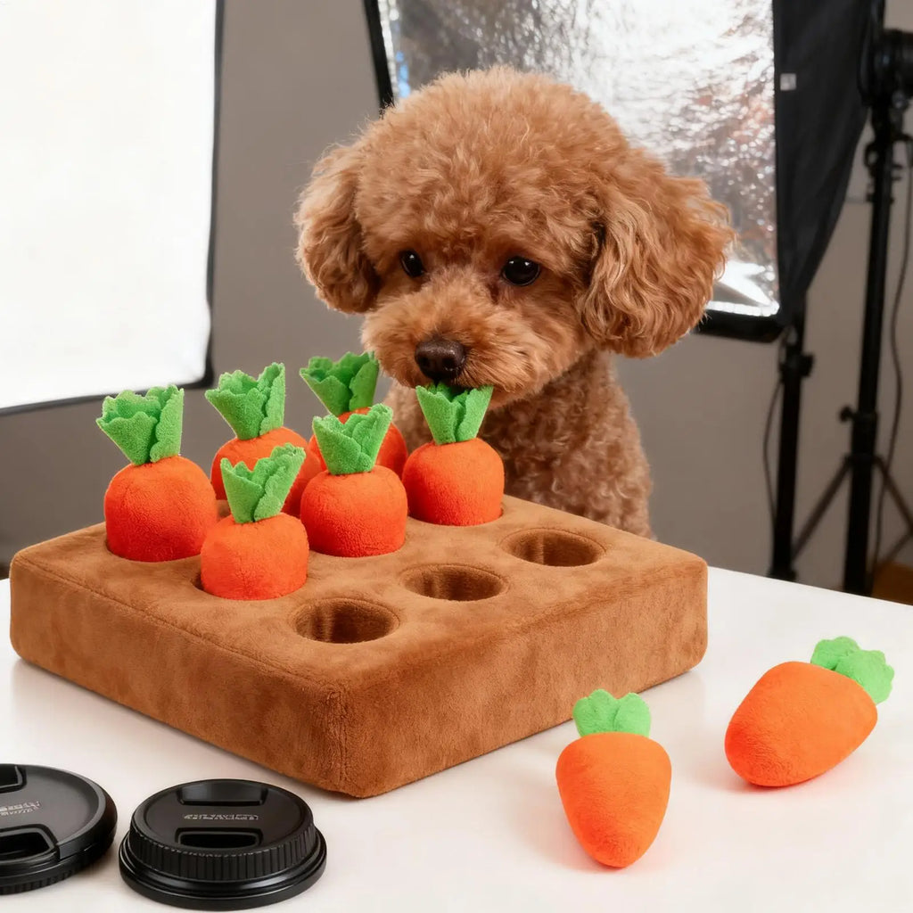 Mata węchowa Marchewka, puzzle zapachowe — Psi Radość